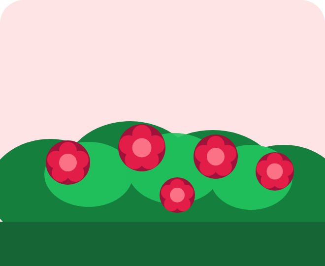 Rosenhecke — Social Platform